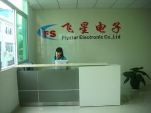 深圳市寶安區沙井飛星電子廠 數碼產品的創新與制造基地