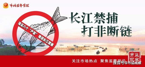 四川省樂山市市中區市場監管局 亮劍“長江禁漁”，重拳整治漁具銷售見實效